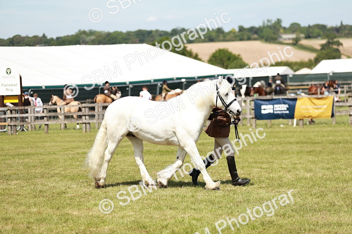 SBM_07147 - Class 26-30 - Mountain and Moorland Ridden