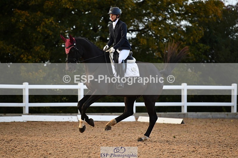 231104A-151812-02311 - Cls 14 Adv Medium 98