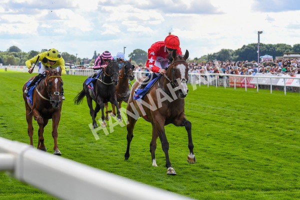 260823-Race 1-Spirit Dancer-0128 - Race 1 Sky Bet And Symphony Group Strensall Stakes