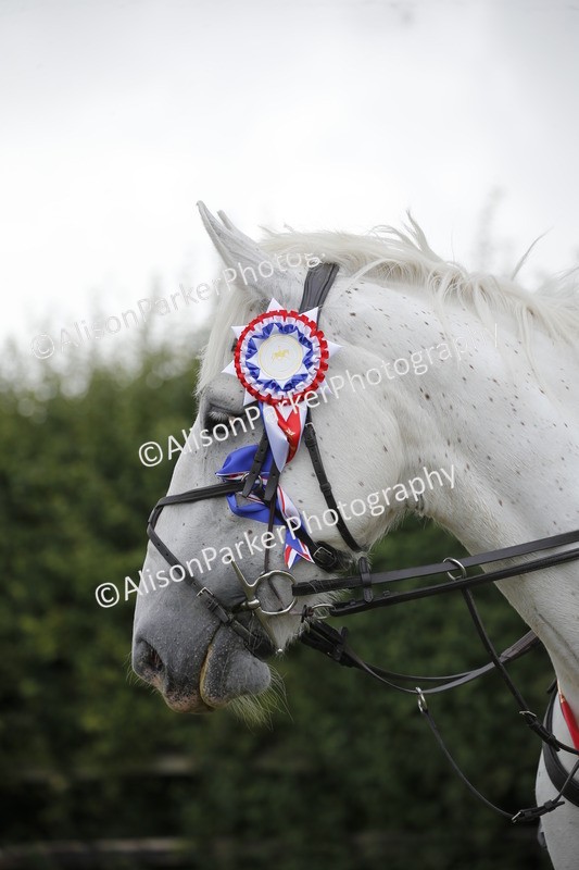 20250831-4501 - SUPREME CHAMPIONSHIP