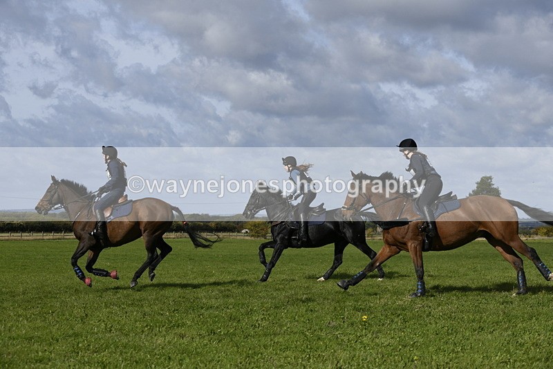 _DSC6820 - Time 11:23 to 12:05