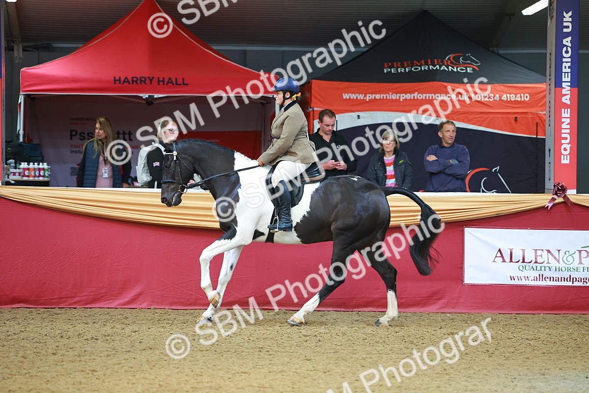 SBM_09761 - Class 102 - HOYS Veteran Qualifier - Ridden Veteran