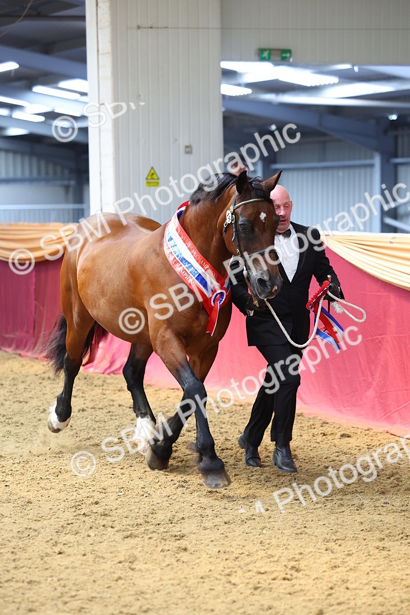 SBM_23264 - Supreme Final - IH Champion