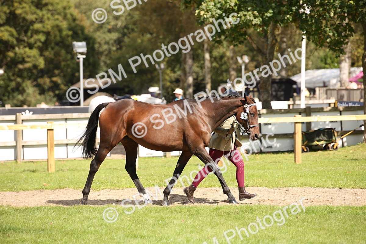 SBM_44376 - S24 - Young Veteran in hand