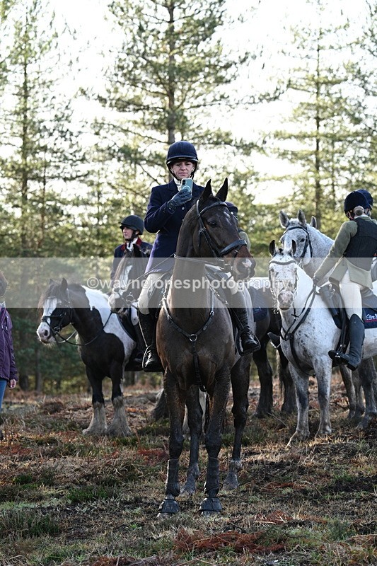 WJ7_7479 - Line 3 (no line 4 or 5)