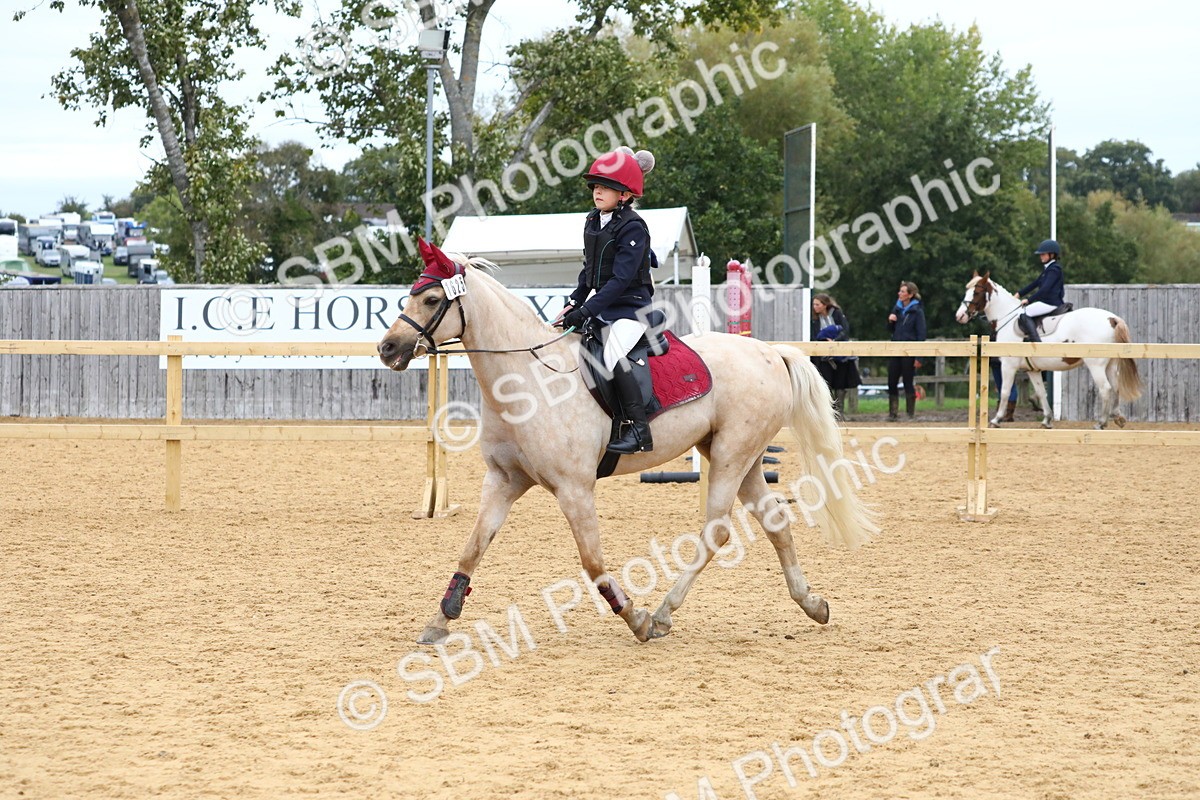 SBM_68160 - J3b - Mini Tour Junior Pony 40cm Championship