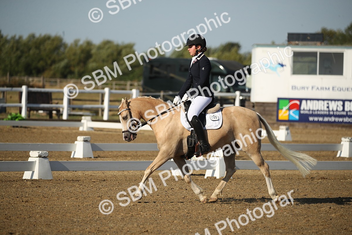 SBM_004466 - Class 11 - Novice 5 - 9.0010.03