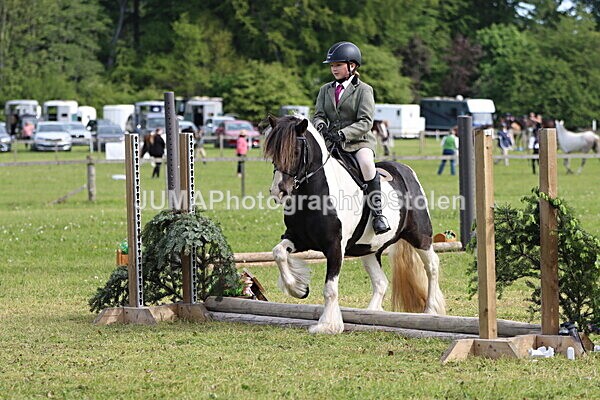IMG_2206 - Working Hunter