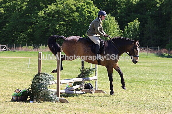 IMG_4037 - Working Hunter