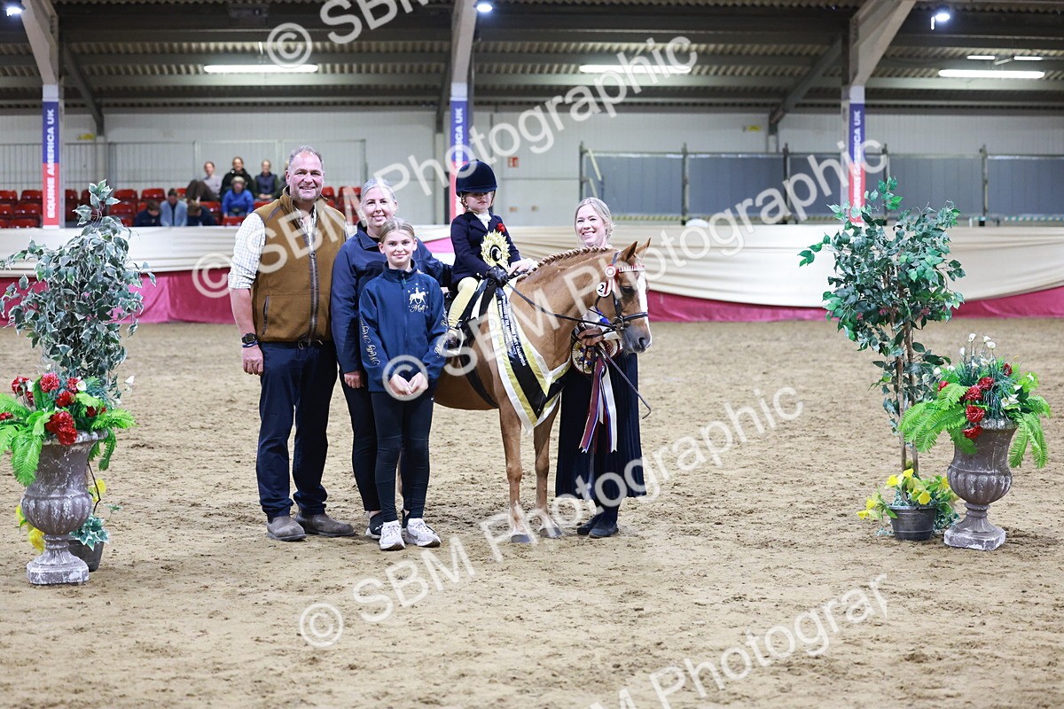 SBM_20597 - Class H - IH Competition - Riding Club champ