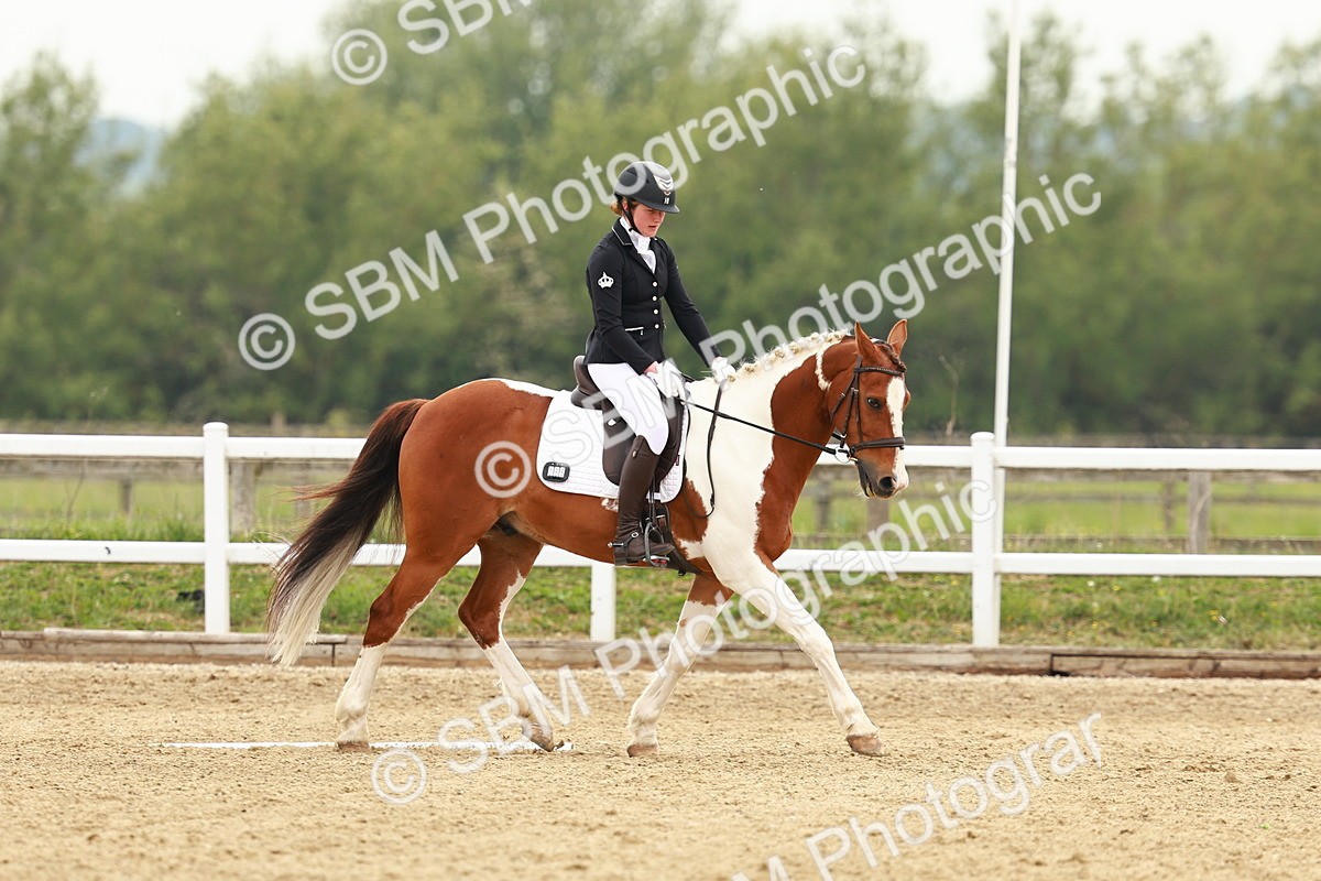 SBM_001221 - Class 6 - Novice 4
