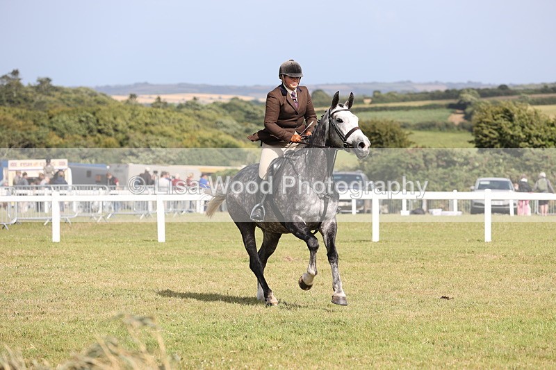 JPP_2681 - Class 20: Working Hunter 70cm