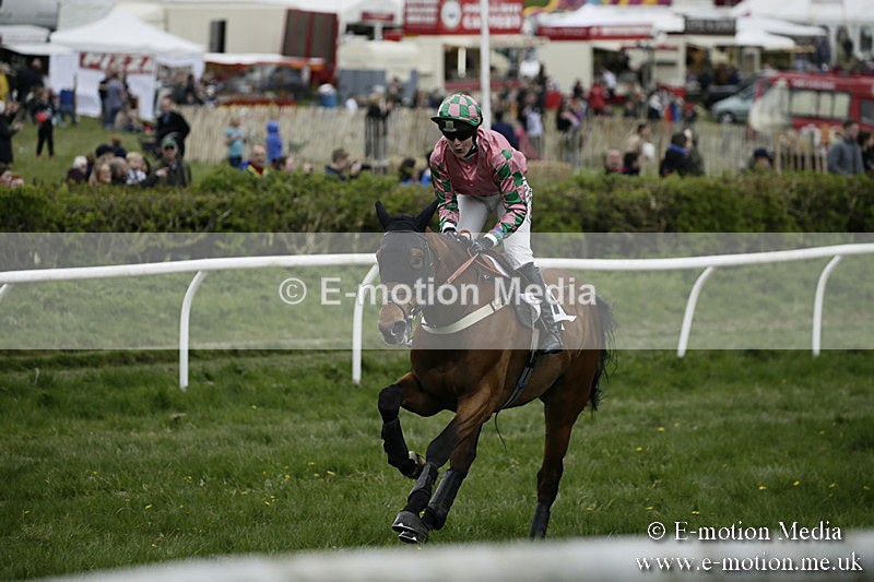 PtP 170417 564 - Old Berks Point-to-Point Lockinge 17/04/17