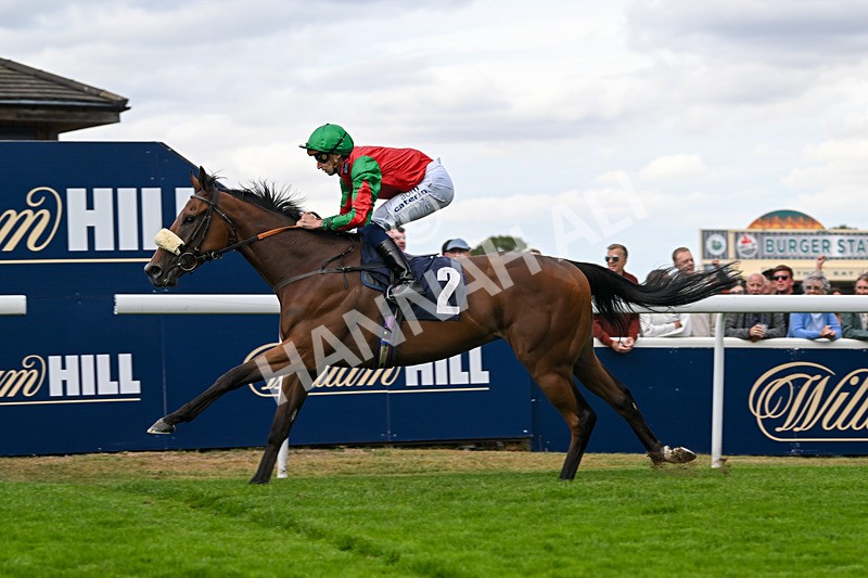 300825-Race 5-High On Hope-1499 - Race 5