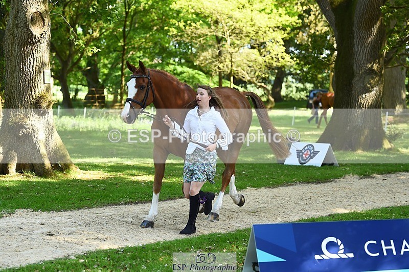 230524-160704-00692 - 208-NICO-Holly_Clarke-WEDTrotUp+DR