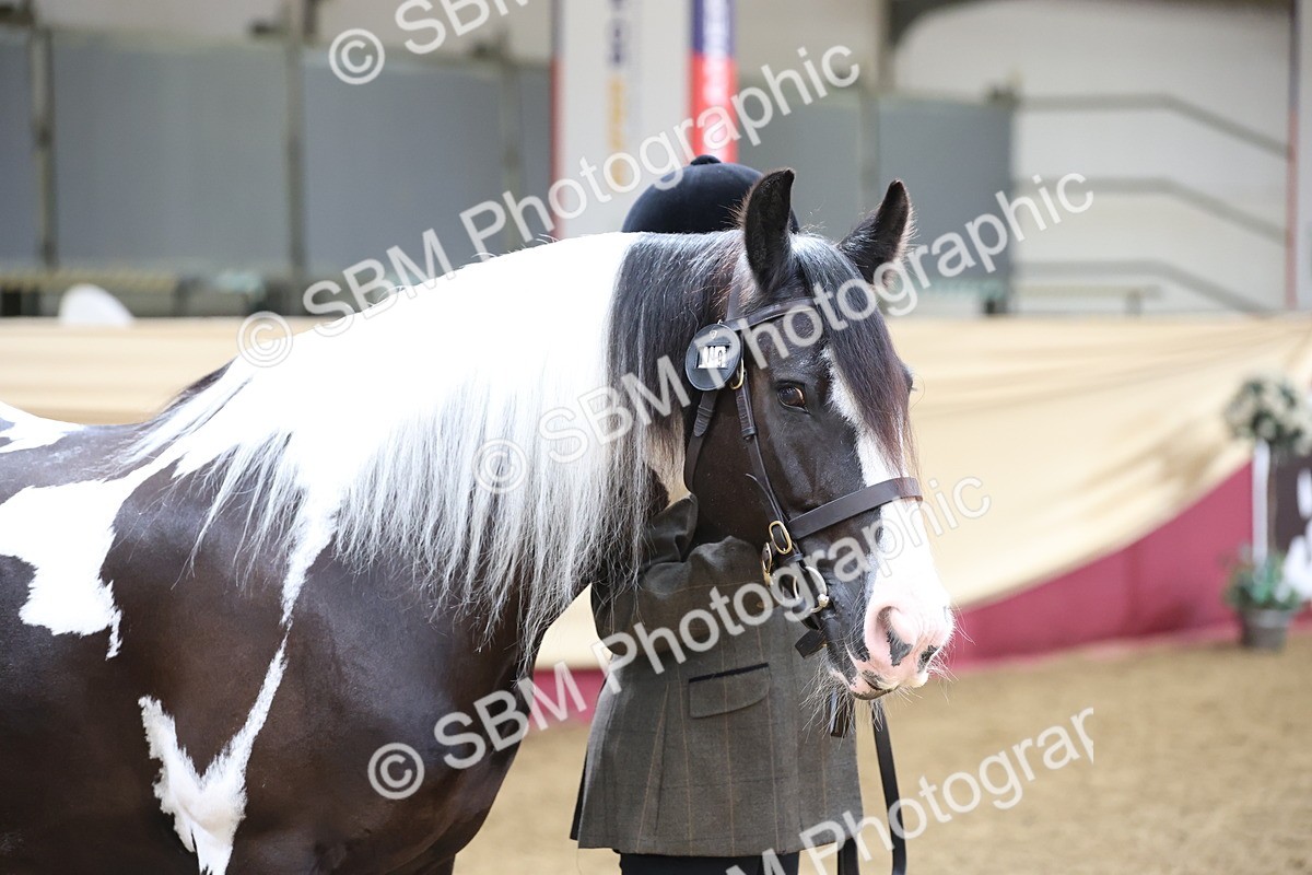 SBM_23323 - Class 903 - Supreme Final - IH Pre Vet