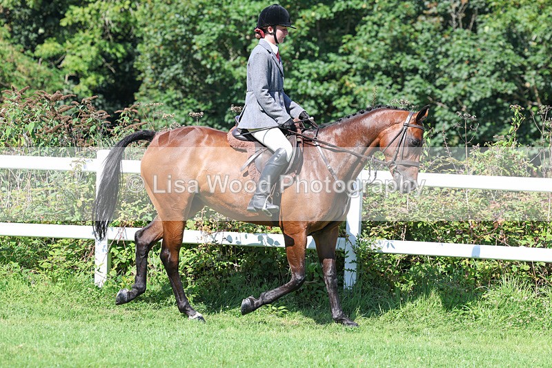 3E7A8329 - Class 4: Novice working Hunter