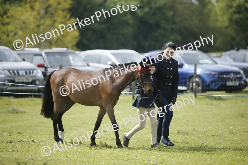 20260426-1865 - Class 7 - Pony Judge Would Most Like To Take Home