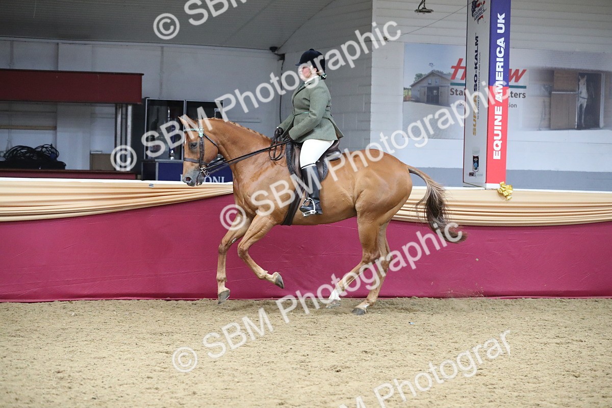 SBM_12345 - Class 108 Ridden Retired Racehorse- Pre Judging