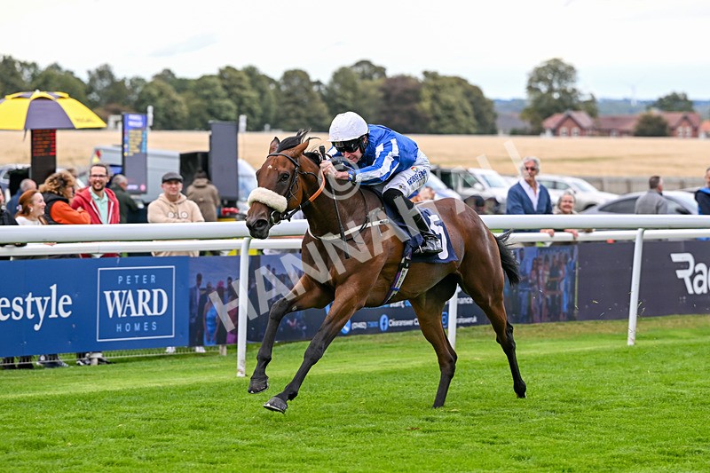 170925-Race 2-Lady Youmzain-4091 - Race 2