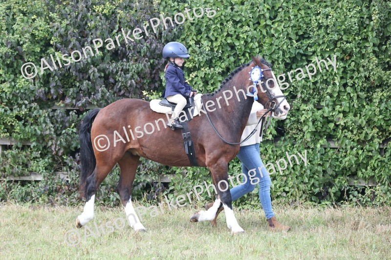 20250831-1281 - Class 15 - Ridden Veteran