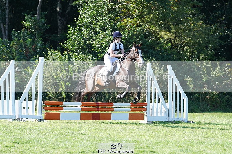 240811A-171650-06586 - 424