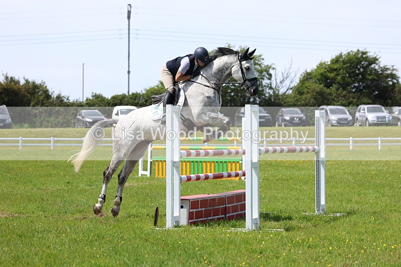 3E7A1324 - Class 12: Senior Foxhunter/1.20 open