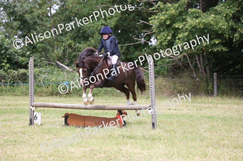 20260614-2778 - Class 22 - Open Working Hunter