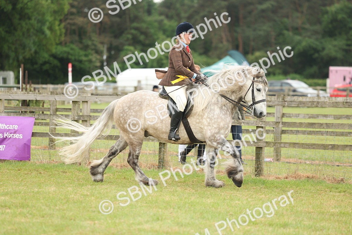 SBM_09062 - Class 78-80 - Ridden M&M Non Welsh Ponies