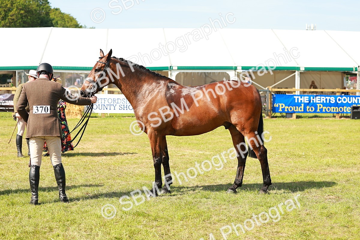 SBM_12069 - Class 66-69 - RIHS Ridden Hunters Inc Small Hunter