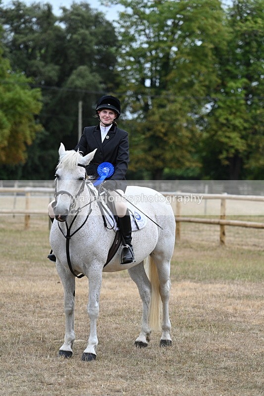 WJ7_0973 - Class 7 Riding Club Show Horse
