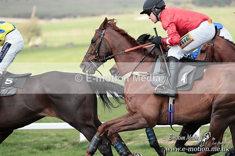 PtP 230324 404 - Tedworth Hunt PtP Larkhill Raccourse 23rd March 2024