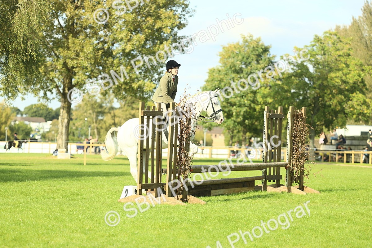 SBM_50541 - S33 - Working Hunter & Working Show Horse