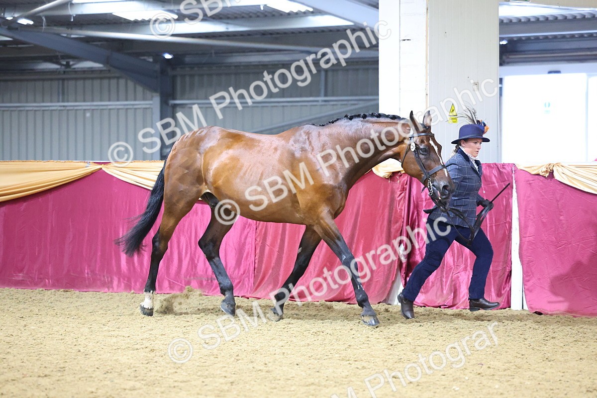 SBM_19593 - Class 901 - Supreme Final - IH Diamond