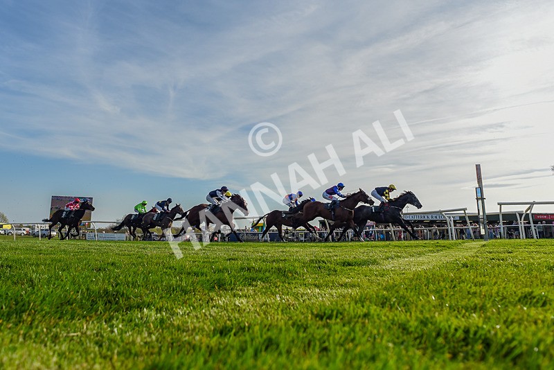 080426-Race 8-Keldeo-0167 - Race 8