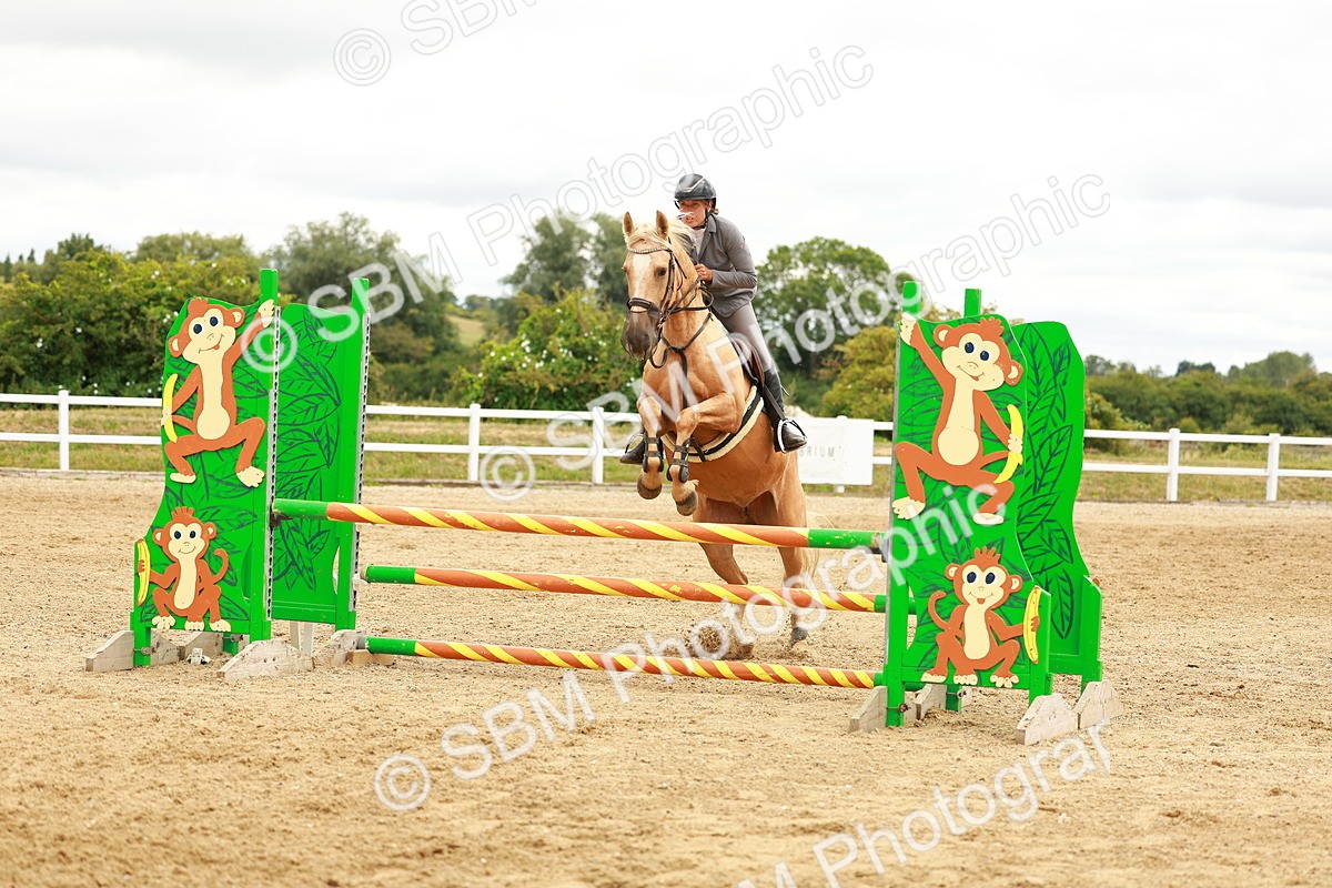 SBM_001956 - Class 9 - Senior British Novice - 90cm
