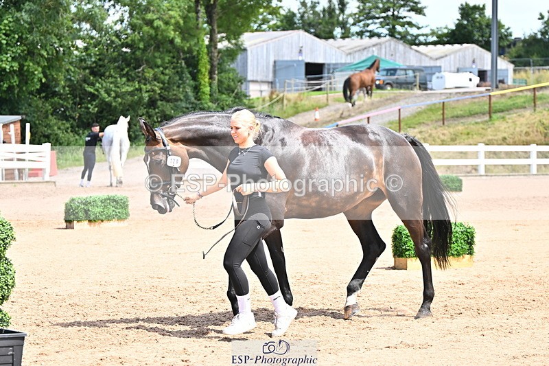 240718A-105255-01317 - Trot Up 12pm to 1pm