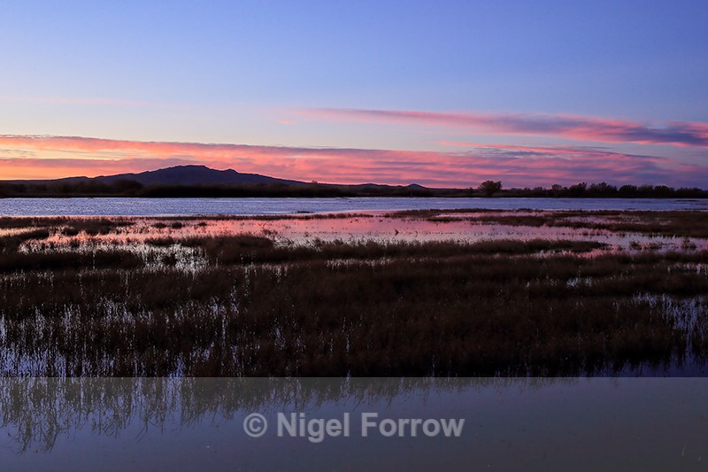 Sunrise at Bosque del Apache, New Mexico - New Mexico, USA