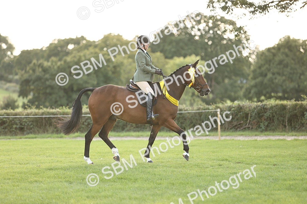 SBM_26502 - S6 - Novice & Newcomers Ridden Horse