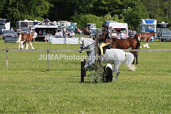 IMG_2130 - Working Hunter