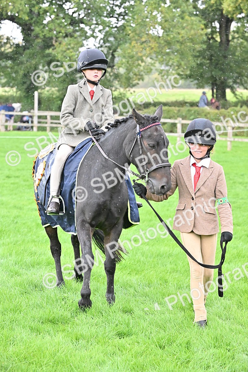 SBM_43003 - S12 - Family Horse & Pony