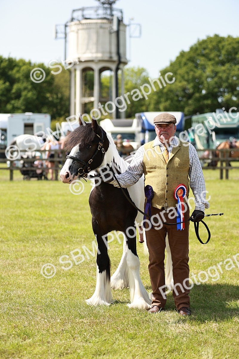 SBM_04287 - Class 39-40 - BSPA Coloured In Hand