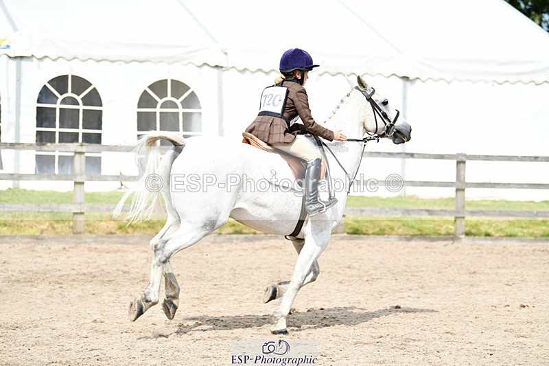 240825X-151000-35862 - 80cm SJ 14.00 to 15.55