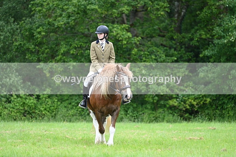 WJ7_4367 - Class 14B Prettiest Mare