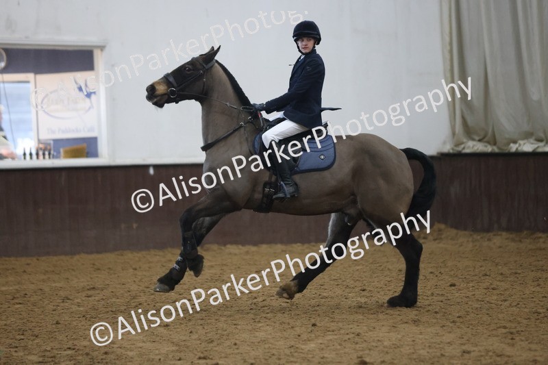 20260314-1606 - 70cm