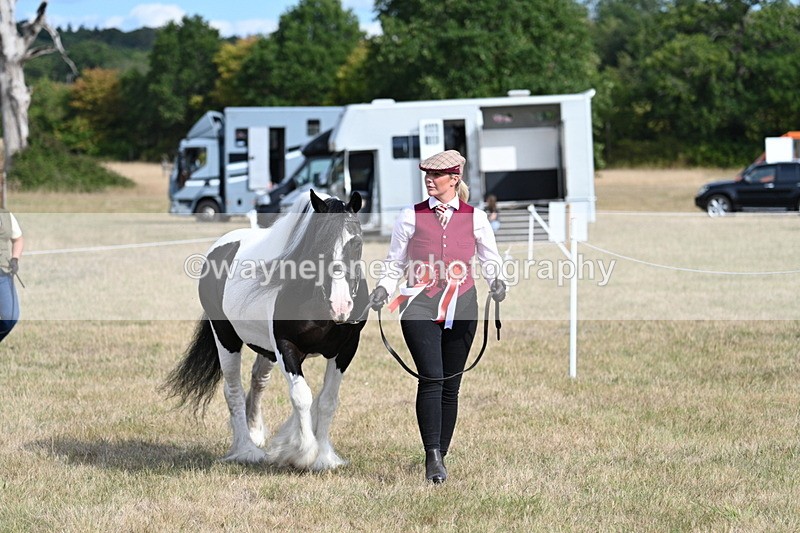 WJ7_8001 - In-hand Championship