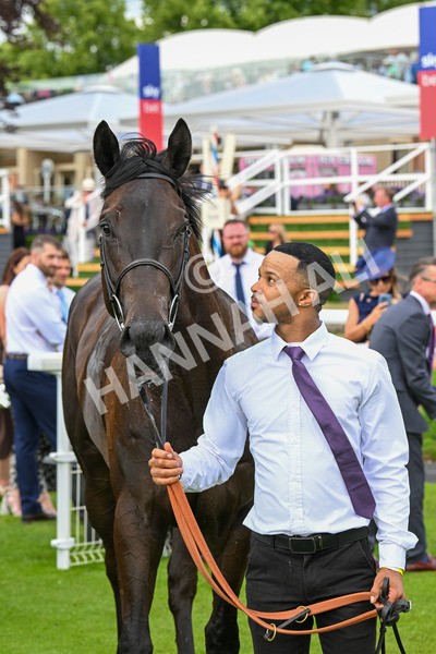 140625-Race 5-Egoli-2-2 - Race 5 4.10pm Reg Griffin Appreciation EBFstallions.com Maiden Stakes