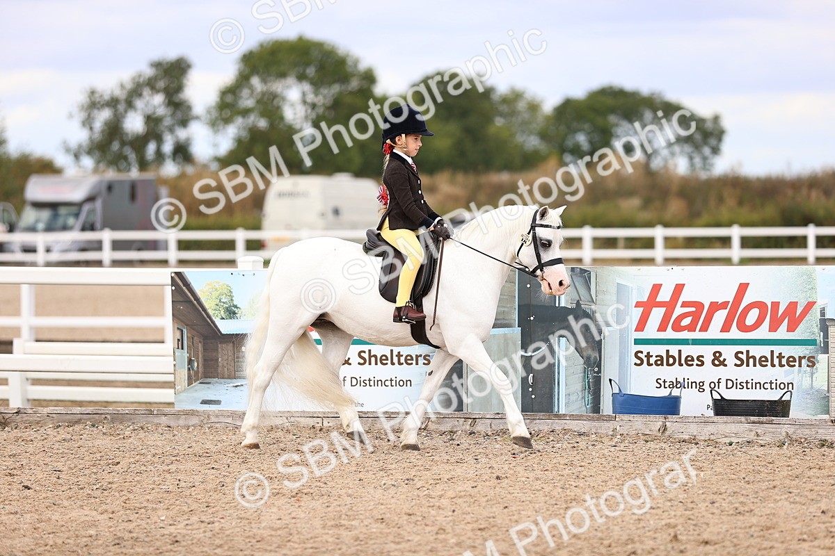 SBM_15930 - Class 416 - Prettiest Mare (IH or Ridden) Jnr