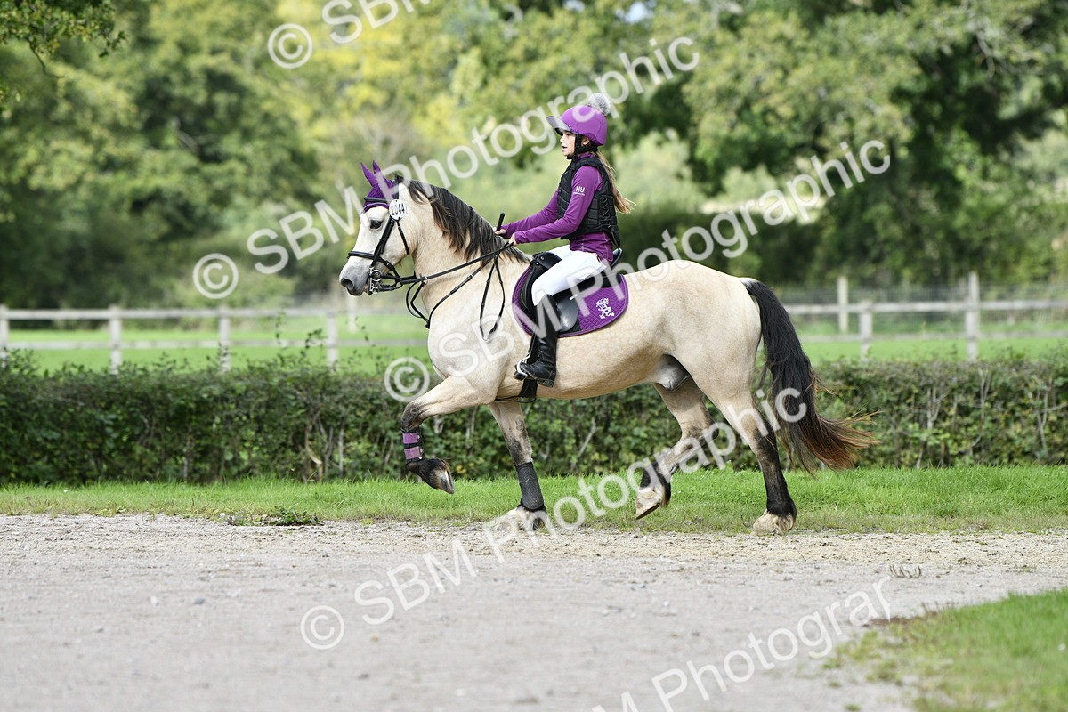 SBM_16286 - E4b - Eventers Challenge 60cm Open
