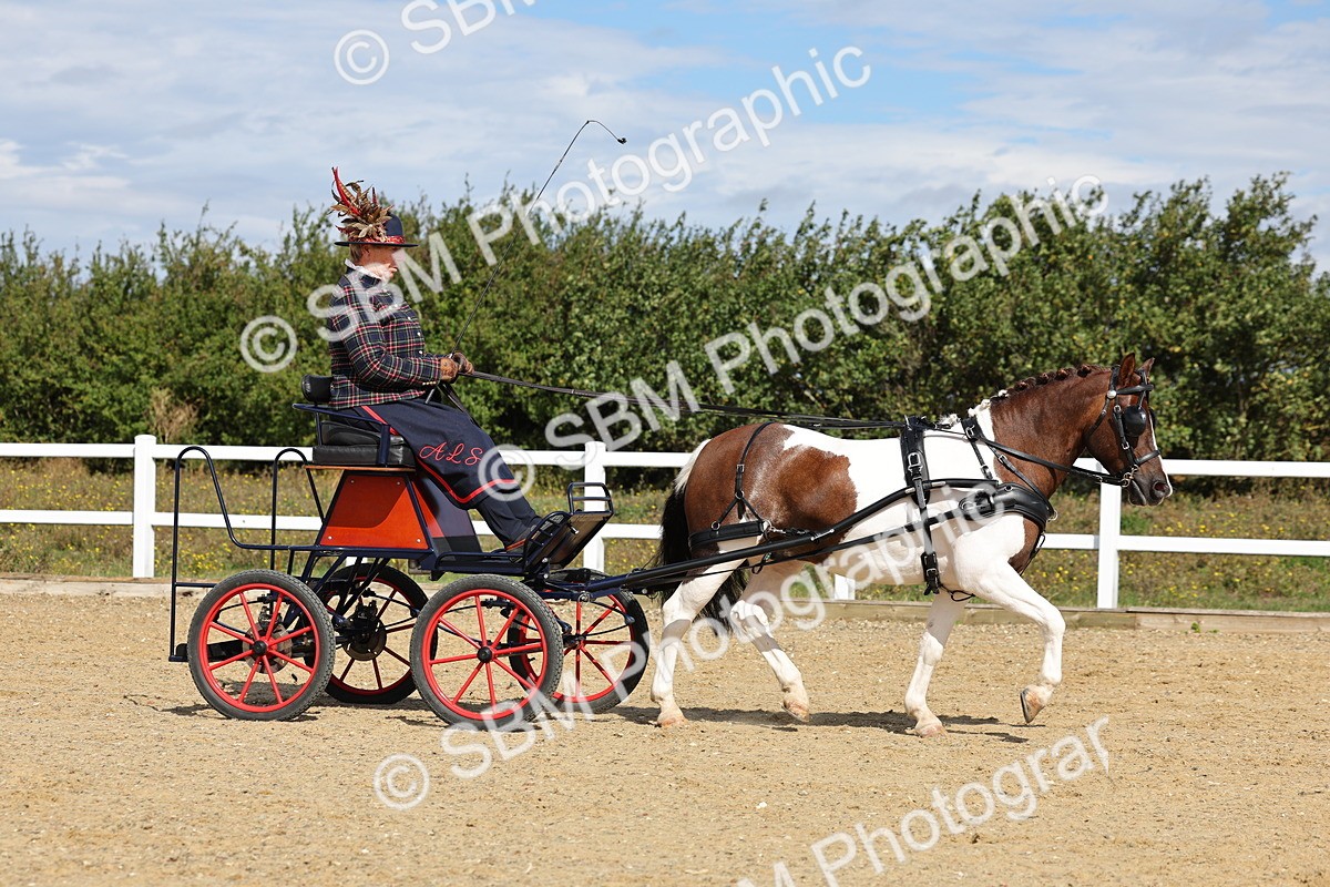 SBM_000893 - Class 8 - Novice Horse or Pony to any vehicle